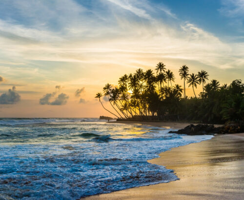 Beautiful,Sunset,Under,The,Coconut,Plams,On,The,Troical,Beach.
